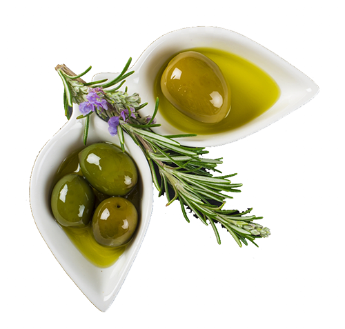 olives tree axia virgin olive oil new